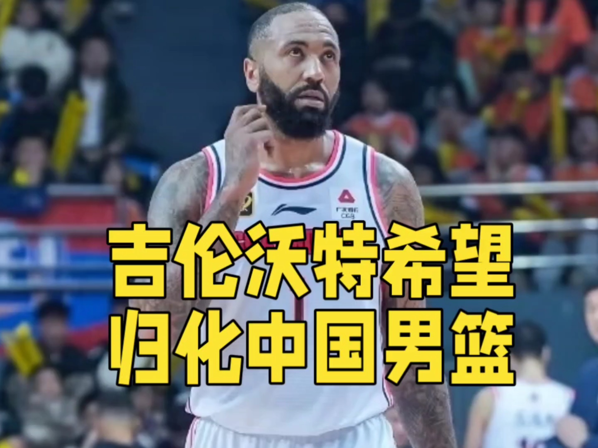 广东男篮外援(广东男篮签外援)
